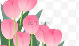 郁金香漫画,一场穿越时空的奇幻之旅